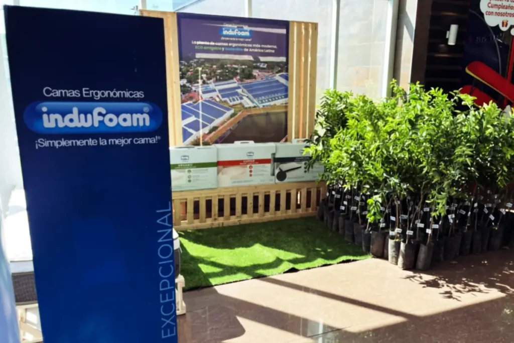 Indufoam lidera agenda verde con campaña de reforestación y producción 100% solar